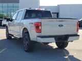 Used 2023 Ford F150 XLT w/ Equipment Group 302A High image 5
