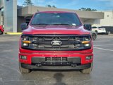 New 2025 Ford F150 XLT w/ Equipment Group 302A MID image 2