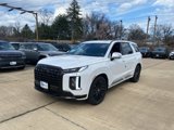 New 2025 Hyundai Palisade Calligraphy image 3