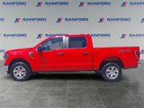 Used 2023 Ford F150 XLT image 2
