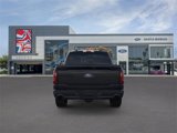 New 2025 Ford F150 XLT w/ Equipment Group 303A High image 5