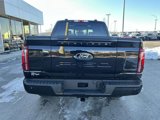 New 2025 Ford F150 Platinum w/ Equipment Group 702A High image 5