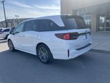 New 2025 Honda Odyssey Touring image 2