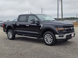 New 2025 Ford F150 XLT w/ Equipment Group 303A High image 4