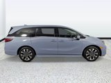 New 2026 Honda Odyssey Elite image 2