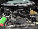 Used 2010 Ford F150 Raptor image 3
