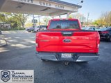 Used 2015 Ford F150 XLT w/ Equipment Group 302A Luxury image 4