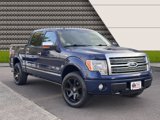 Used 2009 Ford F150 Platinum image 5