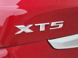 New 2025 Cadillac XT5 Luxury image 5