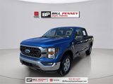 Used 2023 Ford F150 XLT image 3