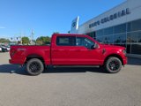 New 2025 Ford F150 XLT image 3