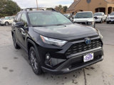 Used 2022 Toyota RAV4 XLE Premium image 6