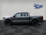 New 2025 Ford F150 STX w/ STX Black Appearance Package image 4