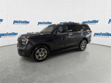 New 2025 Ford Expedition Active image 4