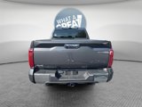 New 2025 Toyota Tundra 1794 Edition image 6