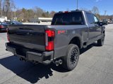 New 2025 Ford F250 Platinum image 6