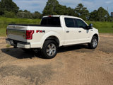 Used 2015 Ford F150 Platinum w/ Equipment Group 701A Luxury image 5