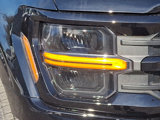 New 2025 Ford F150 XLT w/ Equipment Group 302A MID image 6