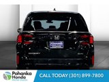 New 2026 Honda Odyssey Elite image 4