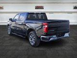Used 2020 Chevrolet Silverado 1500 LT w/ Texas Edition image 5