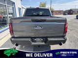 New 2025 Ford F150 STX w/ Equipment Group 201A FX4 image 5