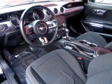 Used 2016 Ford Mustang Coupe w/ Interior & Wheel Package image 2