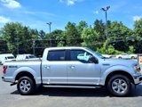 Used 2019 Ford F150 XLT w/ Equipment Group 302A Luxury image 4