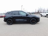 New 2025 Ford Escape ST-Line Elite w/ Premium Technology Package image 2