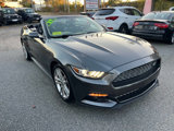 Used 2017 Ford Mustang Premium w/ Equipment Group 201A image 5