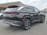 New 2025 Hyundai Tucson Limited image 4