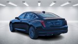 New 2025 Cadillac CT5 Premium Luxury image 3