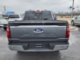 New 2025 Ford F150 XLT w/ Equipment Group 302A MID image 4