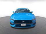 Used 2024 Ford Mustang Premium image 4