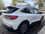 Used 2022 Ford Escape SEL image 4