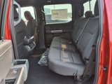 New 2025 Ford F150 XLT w/ Equipment Group 302A MID image 6