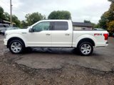 Used 2020 Ford F150 Platinum w/ Equipment Group 701A Luxury image 5