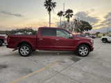 Used 2016 Ford F150 Platinum w/ Equipment Group 701A Luxury image 6