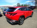 Used 2023 Hyundai Tucson Limited image 3