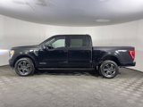 Used 2023 Ford F150 XLT w/ Equipment Group 302A High image 3