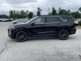 New 2025 Hyundai Palisade Calligraphy image 4