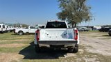 New 2025 Ford F350 XL image 6