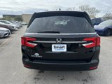 Certified 2024 Honda Odyssey EX-L image 6