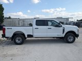 Used 2025 Ford F250 XL w/ XL Off-Road Package image 3