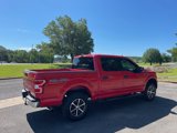 Used 2019 Ford F150 XLT w/ Equipment Group 301A Mid image 5