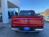New 2025 Ford F150 XLT w/ Equipment Group 302A MID image 4