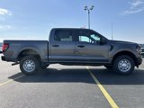 New 2025 Ford F150 XL w/ Tow/Haul Package image 5