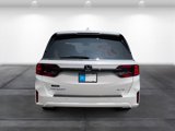 New 2026 Honda Odyssey Elite image 5