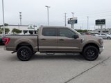 Used 2023 Ford F150 XLT image 4