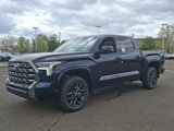 New 2025 Toyota Tundra Platinum image 3