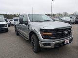 New 2025 Ford F150 XLT w/ Equipment Group 303A High image 3